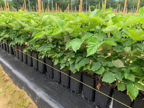 Fall 2023: Five Points to Ponder