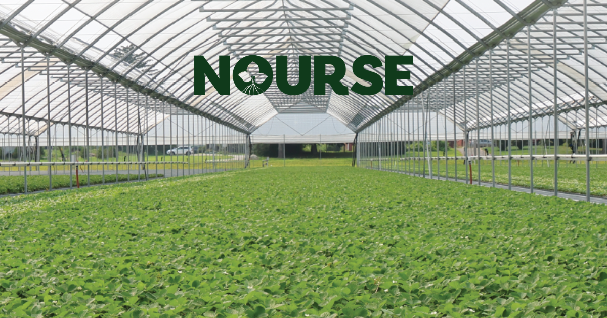 Nourse Farms logo
