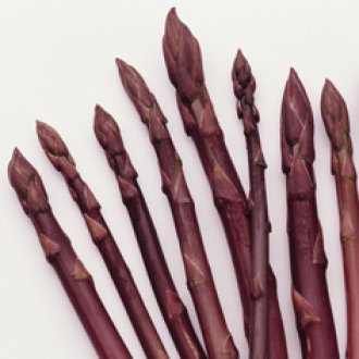 Purple Passion Asparagus Roots