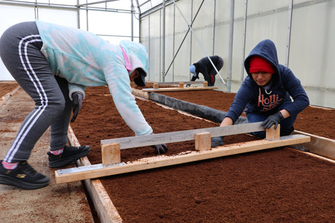 January eNewsletter for Commercial Growers: Growing Forward