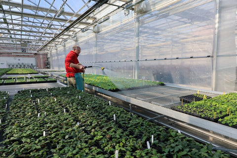 February eNewsletter for Commercial Growers: Growing Together