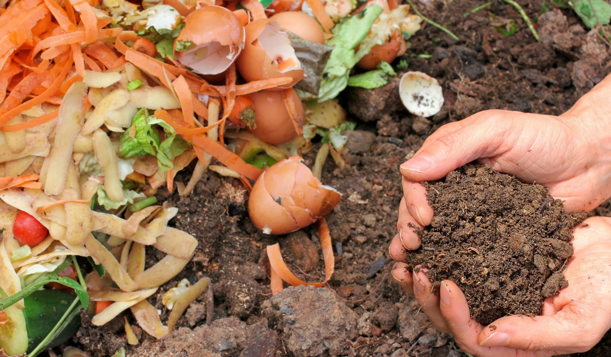 Our Compost Composting 101 – Nourse Farms