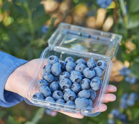 New Blues on the Block