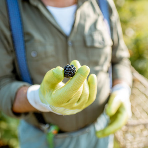 Cultivating Better Health with Gardening