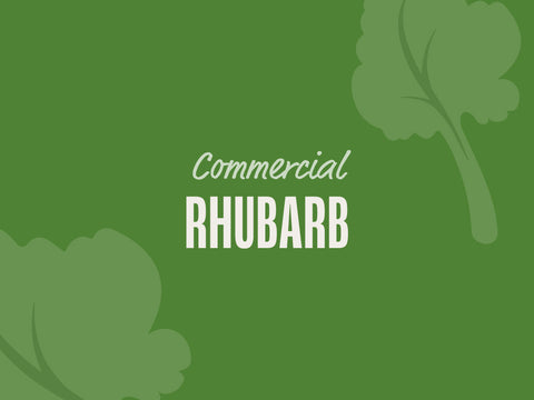 Rhubarb (Commercial)