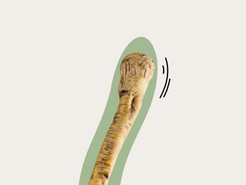 Horseradish Roots