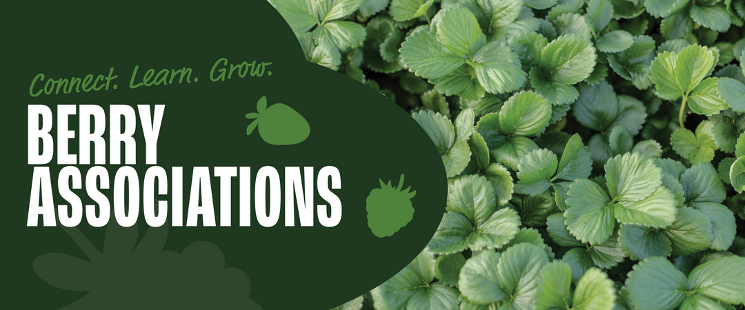 Berry Associations – Nourse Farms