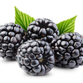 Blackberries
