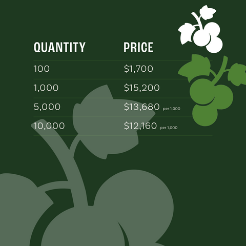 Tixia® Gooseberry