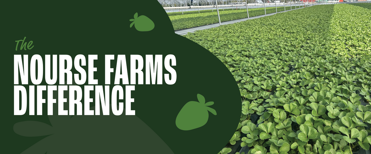 The Nourse Difference Nourse Farms