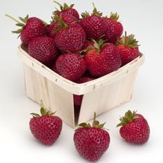 Everbearing Easy Starter Berry Collections Strawberry