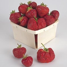 annapolis strawberry plants strawberries plant season soldout noursefarms nourse farms